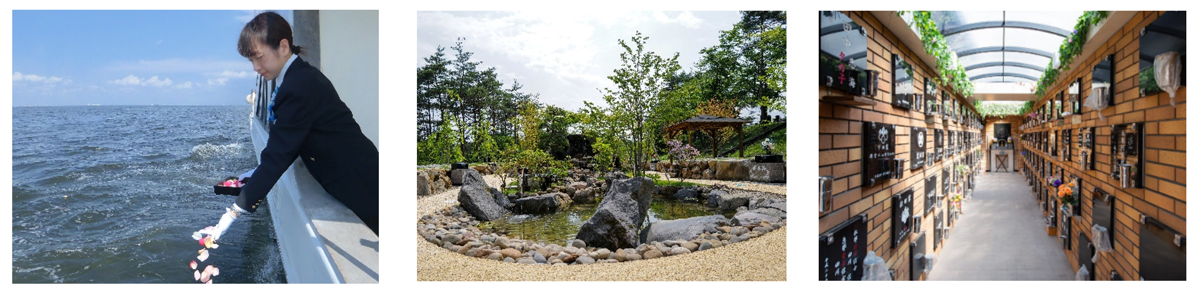 海洋散骨、樹木葬、納骨堂を巡るツアー　※画像はイメージです