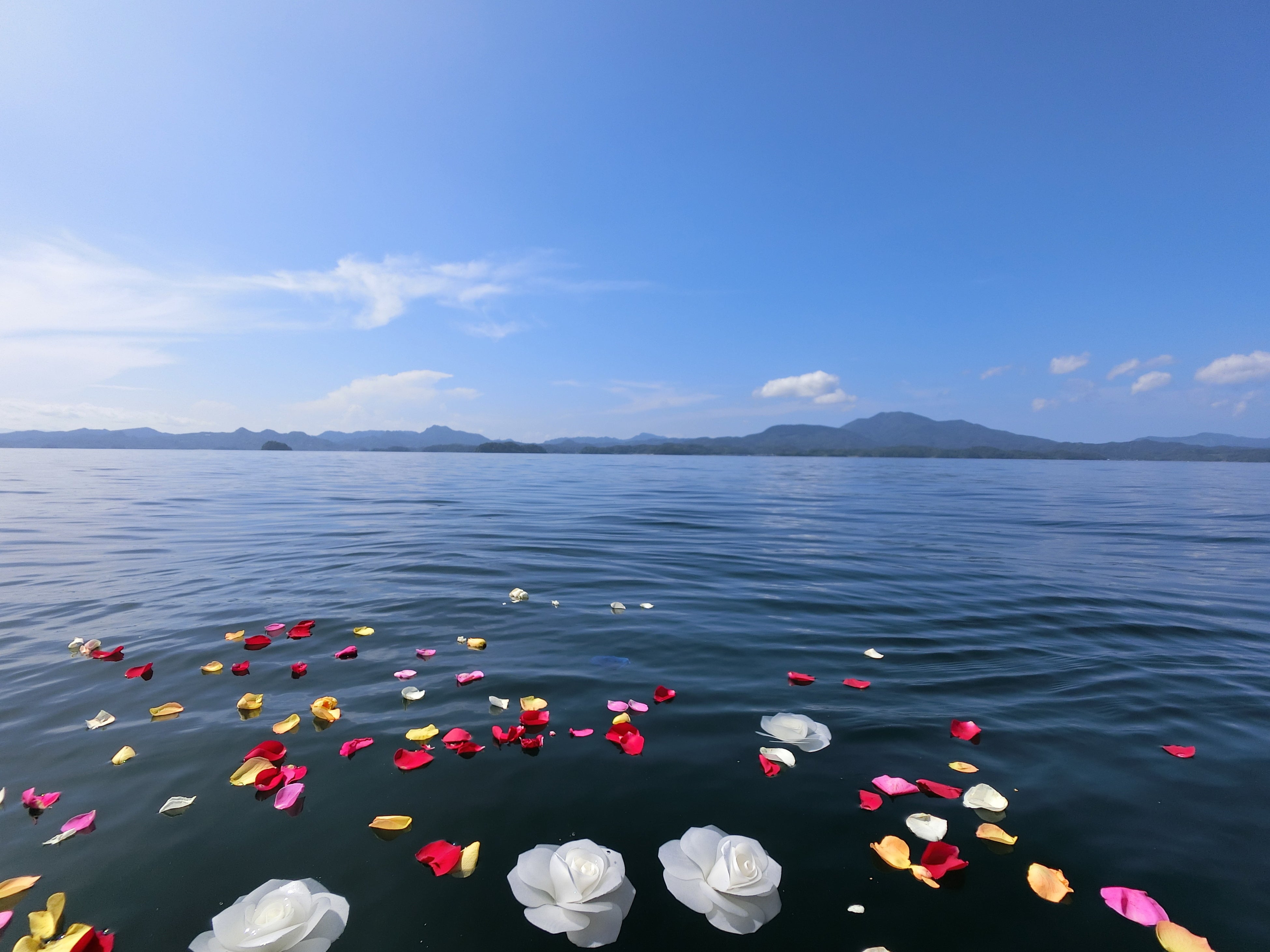 水溶性エコフラワーを手向けた海面