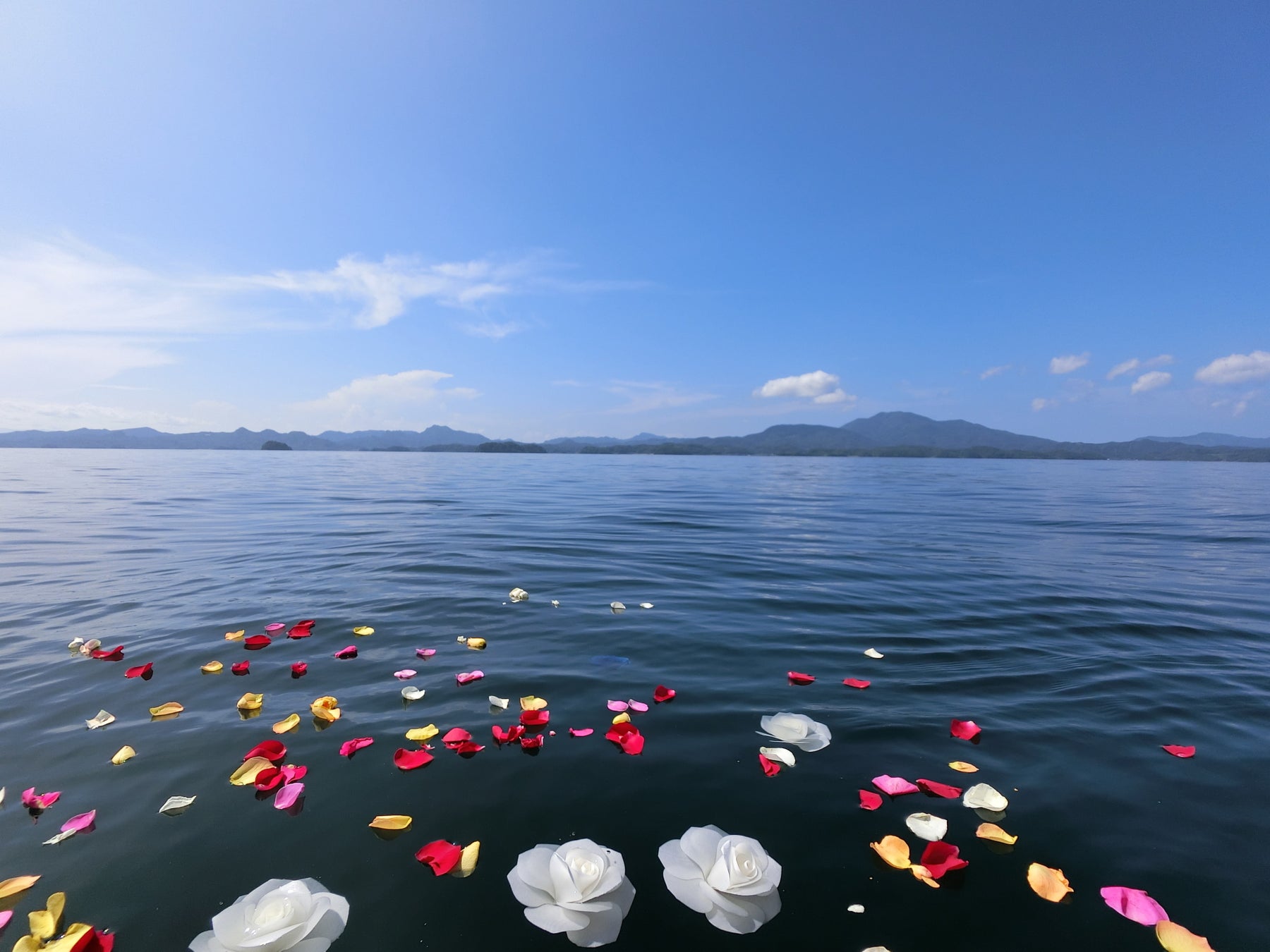 水溶性エコフラワーを手向けた海面