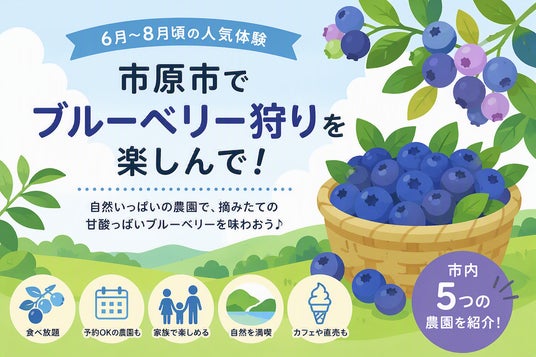 夏のお出かけにぴったり👒”いちはらならでは”のブルーベリー狩り🫐 夏のお出かけにぴったり👒”いちはらならでは”のブルーベリー狩り🫐