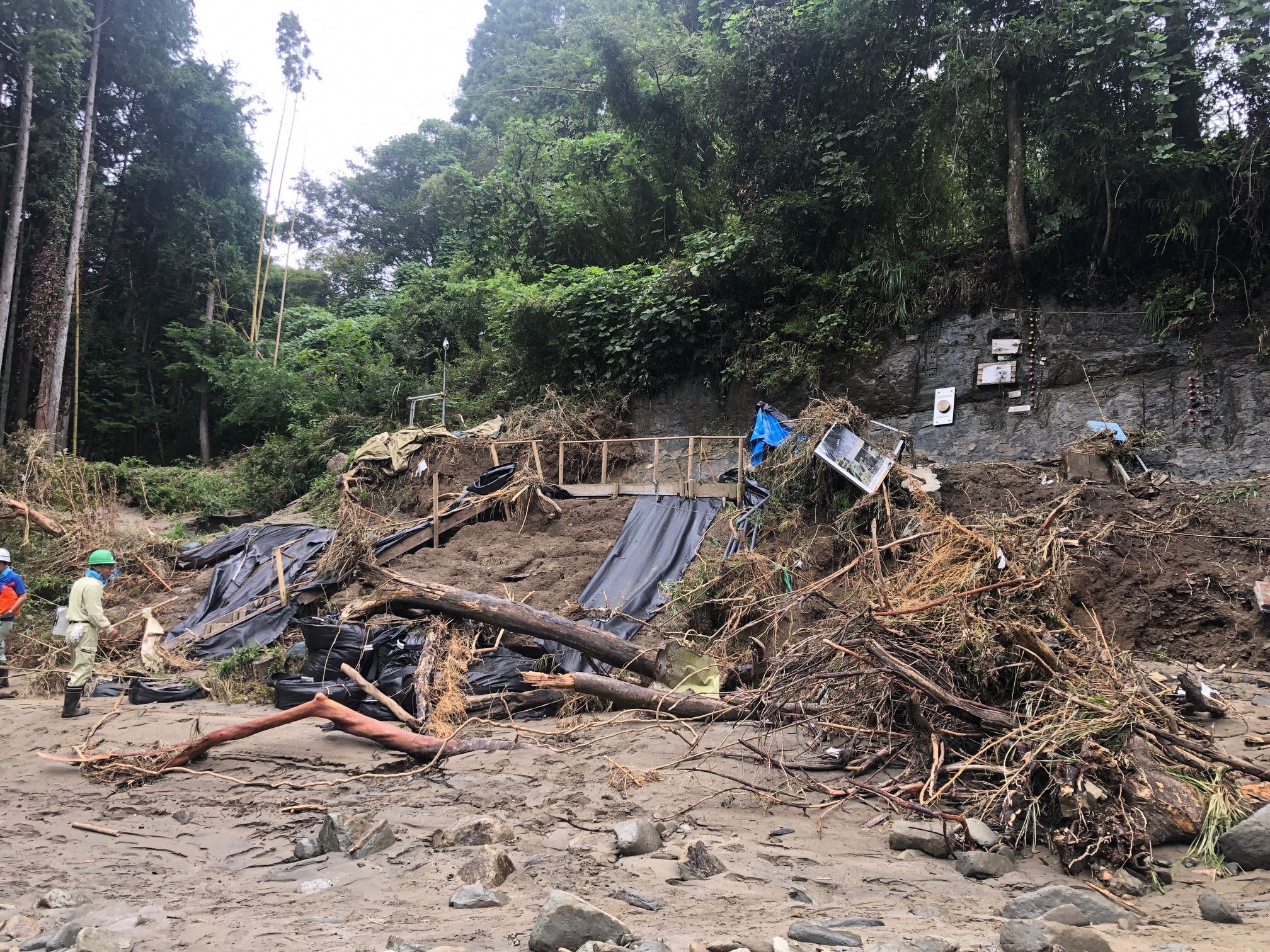 周囲が崩落したチバニアンの地層《現在は復旧しています》
