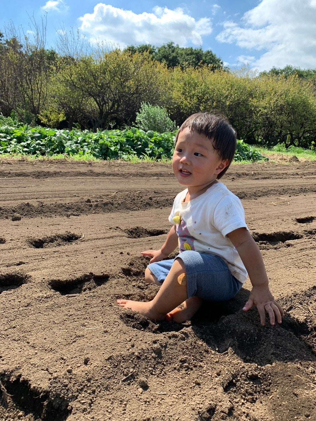 赤ちゃん絵本教室自然体験