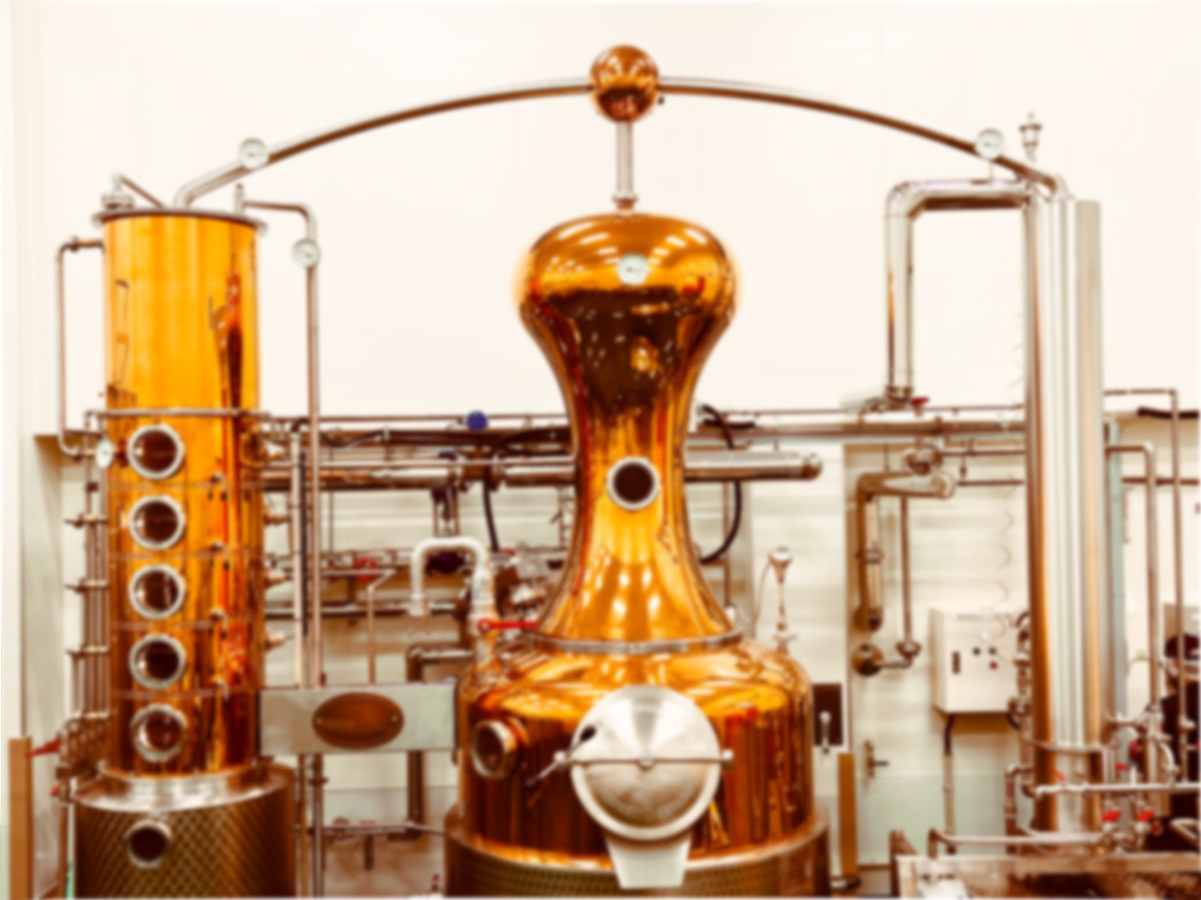 CLUB100活動のひとつ、ラム酒製造