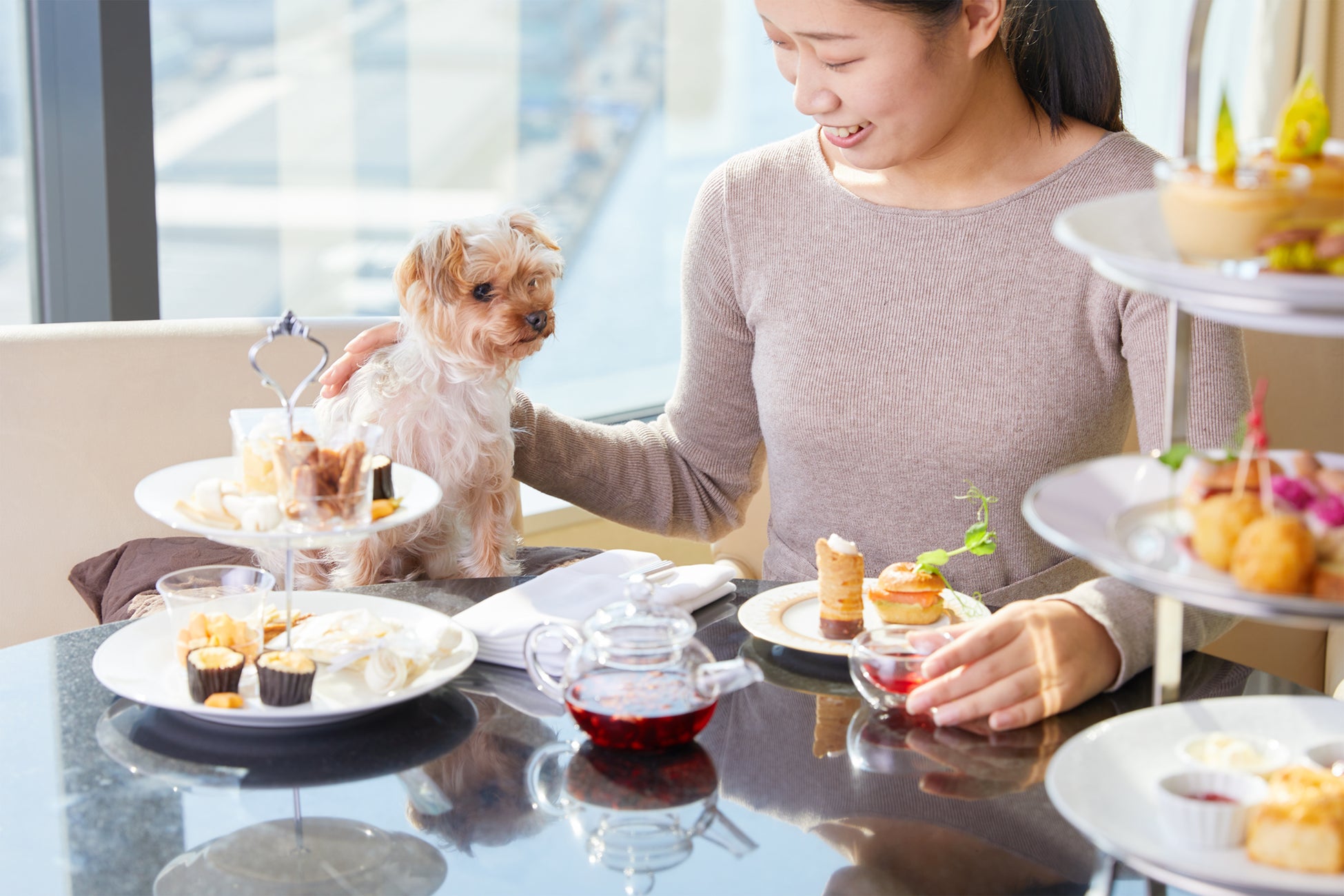 ドッグフレンドリールーム ドッグアフタヌーティー