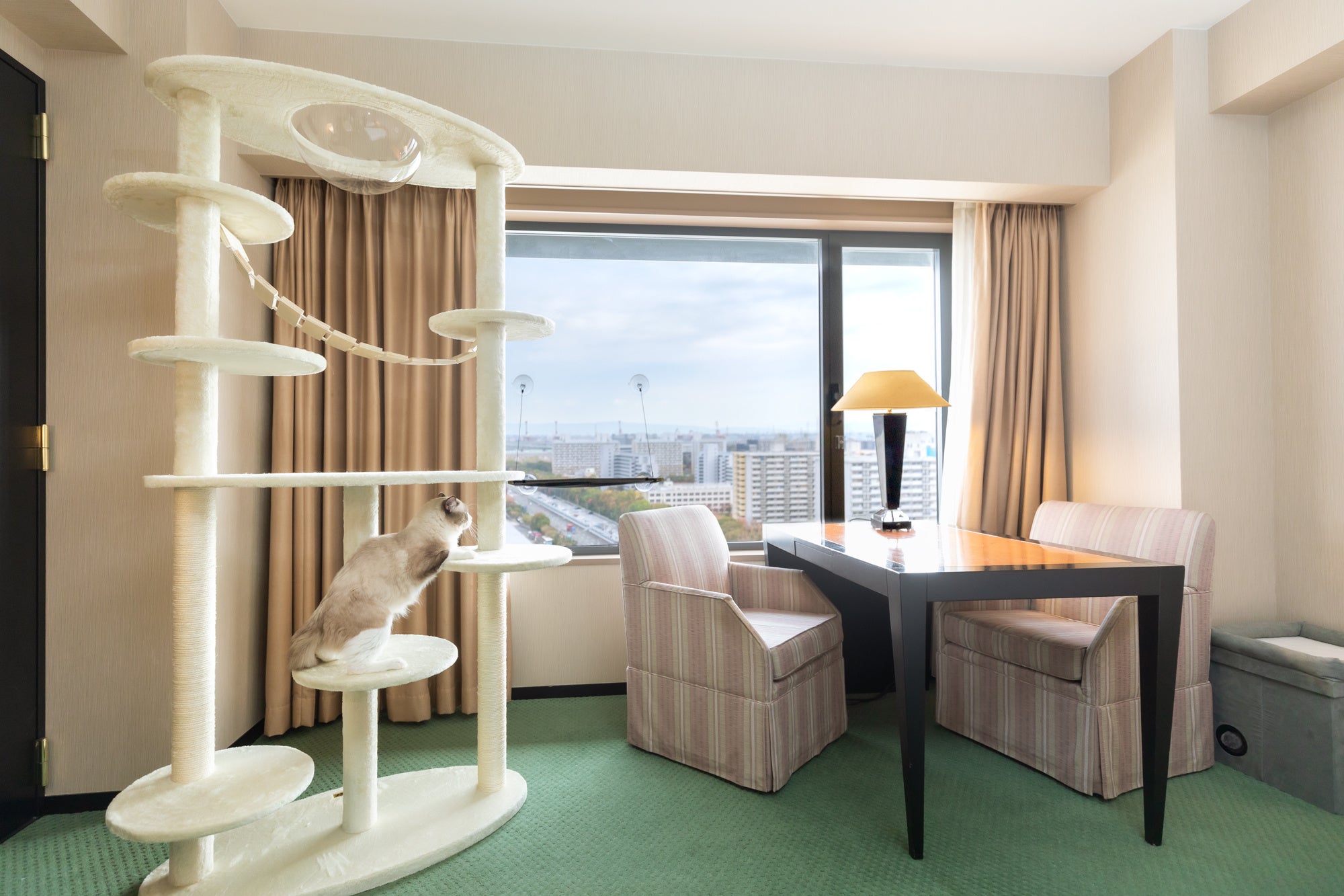 キャットタワー