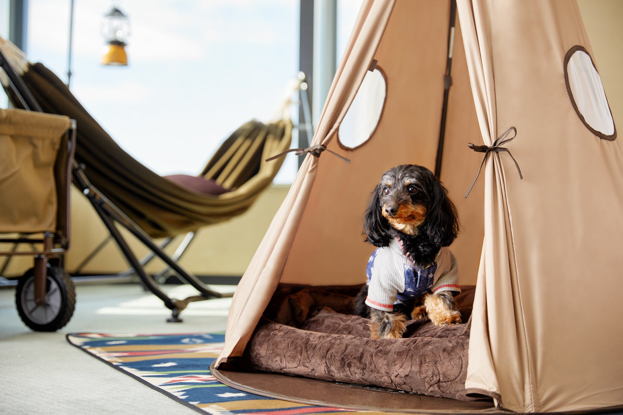 アウトドアブランドアイテムで愛犬と非日常を「コンセプトルーム」