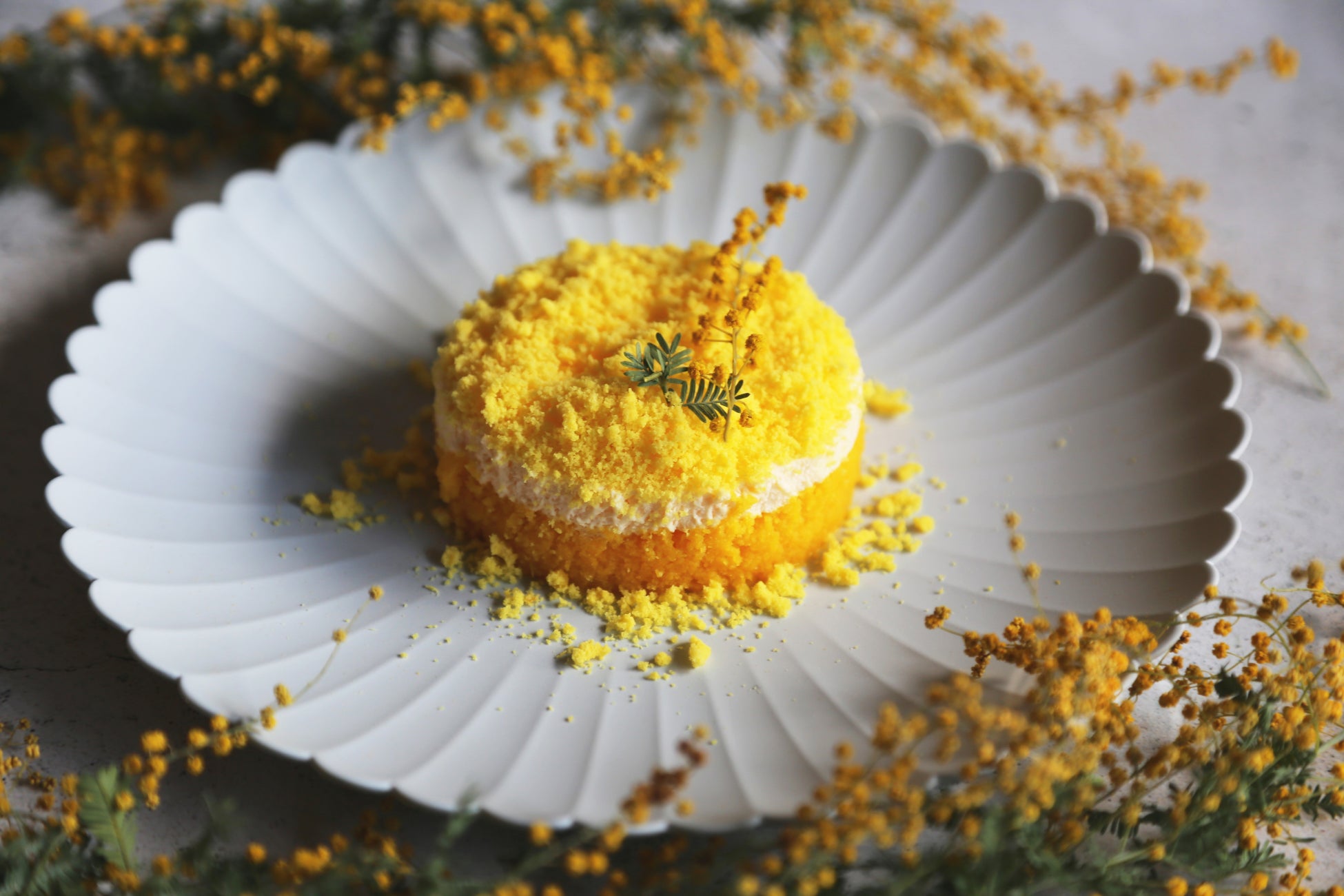 3月8日の国際女性デーにちなみ 表参道のレストランgentle Diningに ミモザ をイメージしたメニュー登場 T Gのプレスリリース 3月8日の国際女性デーにちなみ 表参道のレストランgentle Diningに ミモザ をイメージしたメニュー登場 T Gのプレスリリース