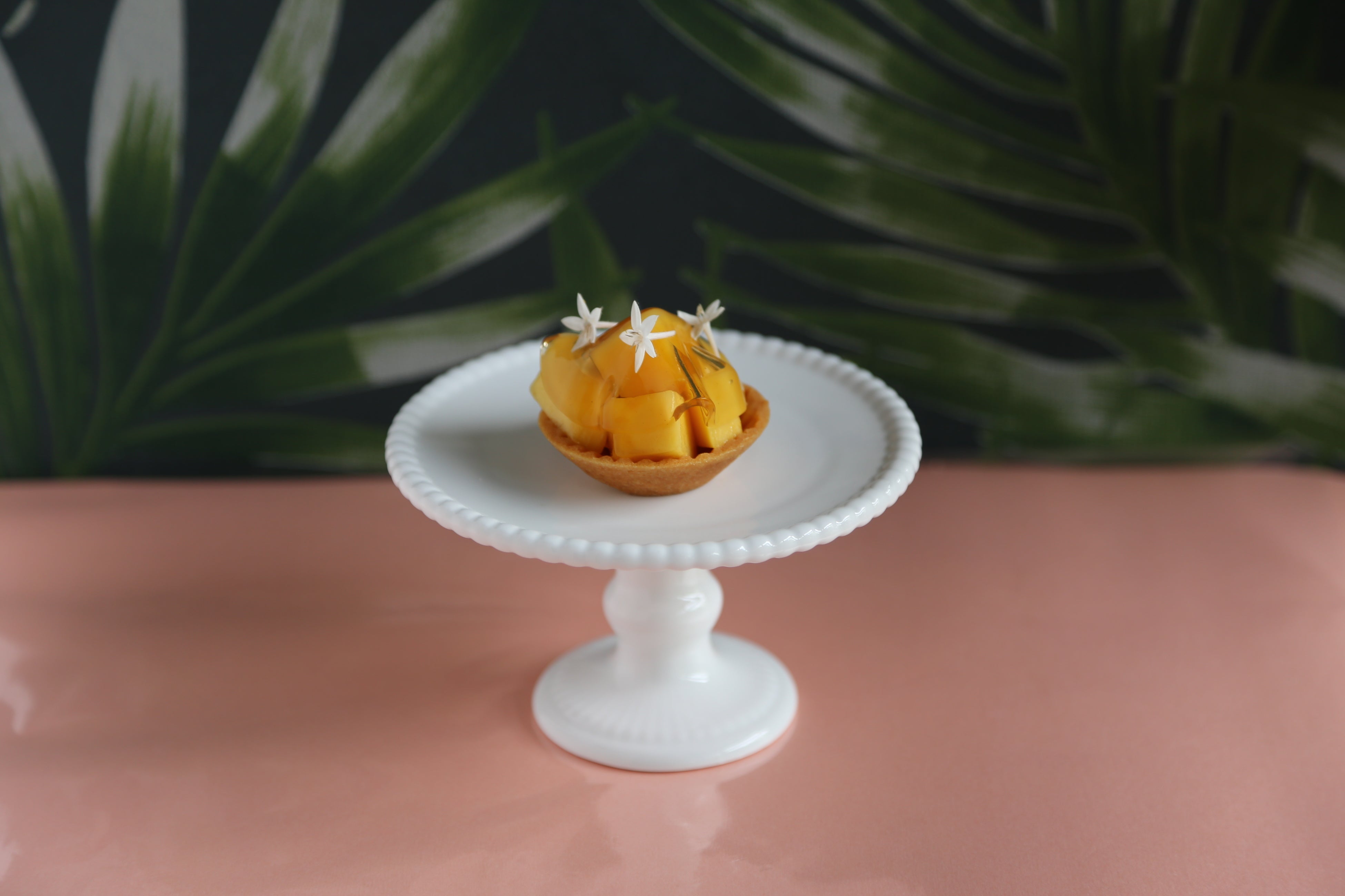 宮崎マンゴーのタルト