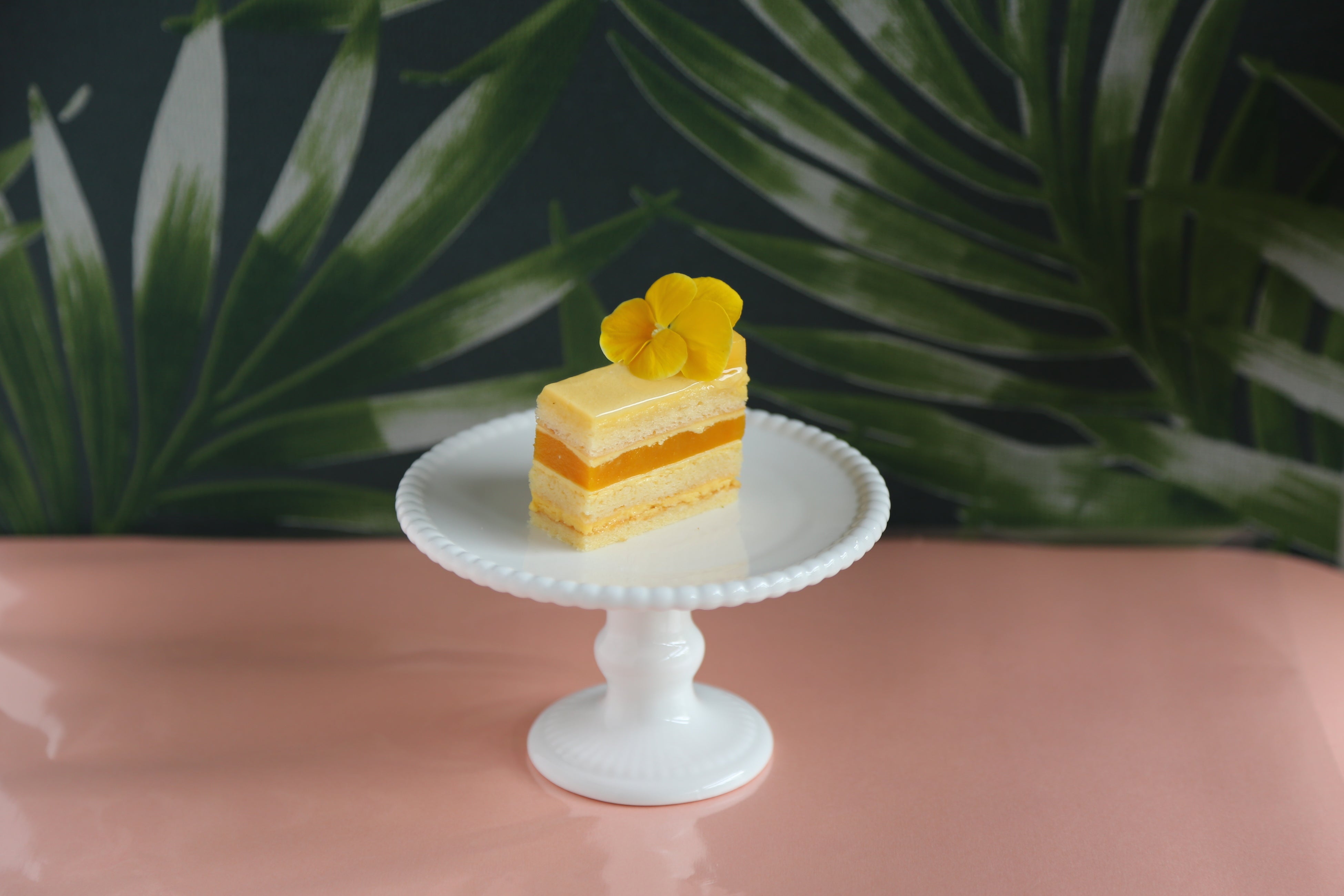 ガトーエキゾチック