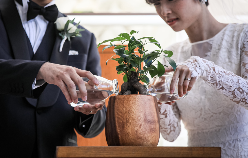 植樹セレモニー