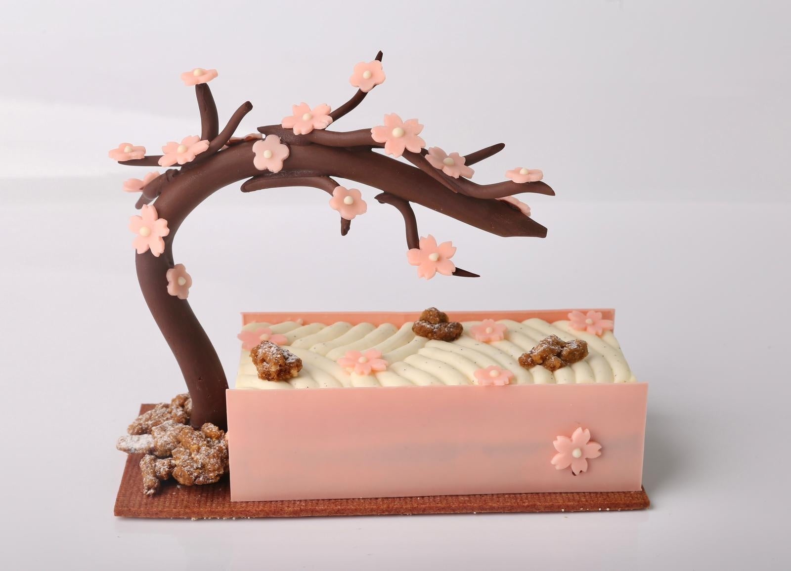 Hanami（18cm）