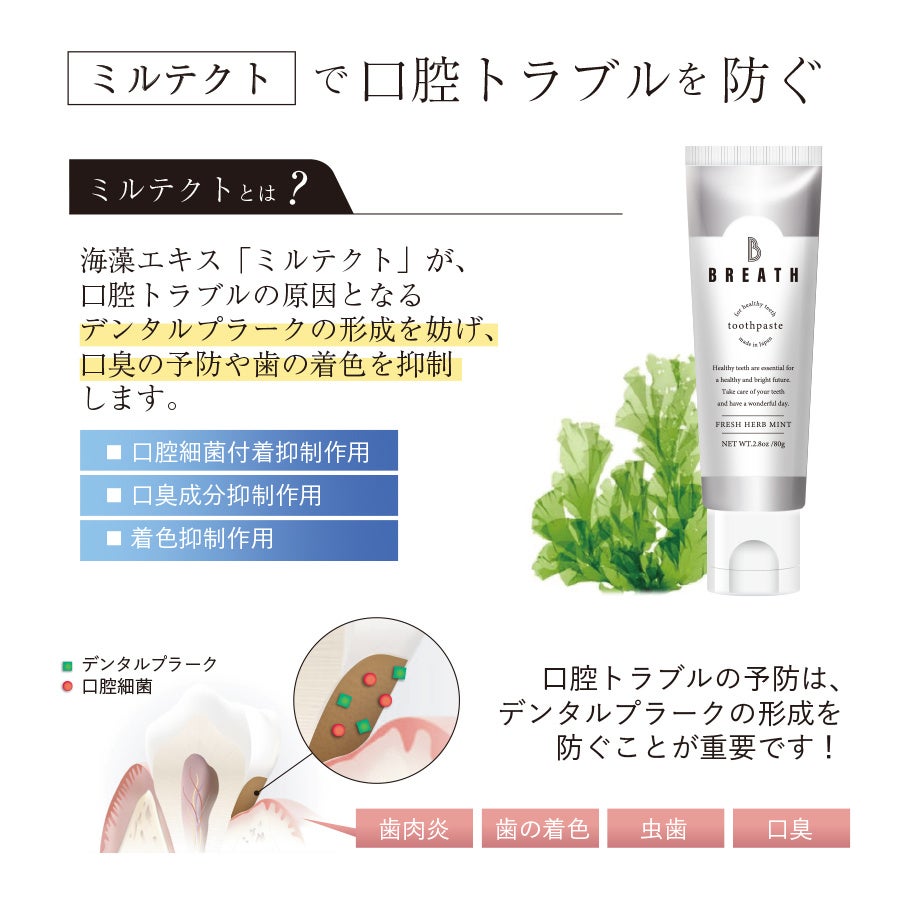 オーラルケアなど オーラルケア用品 アットイーハ | gugu クラブロックス(CURAPROX