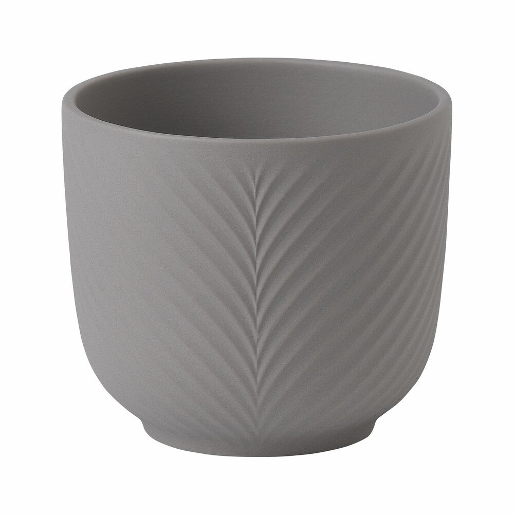 ジャスパーフォリア プランター 9cm ミンク