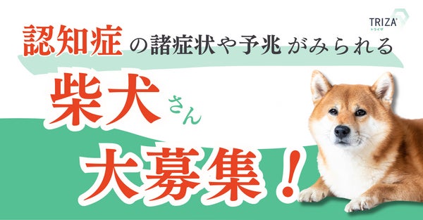 しば犬様専用】有紀ELゲーミングモニターBenQ ゲーミング しば犬様専用】有紀ELゲーミングモニターBenQ ゲーミング