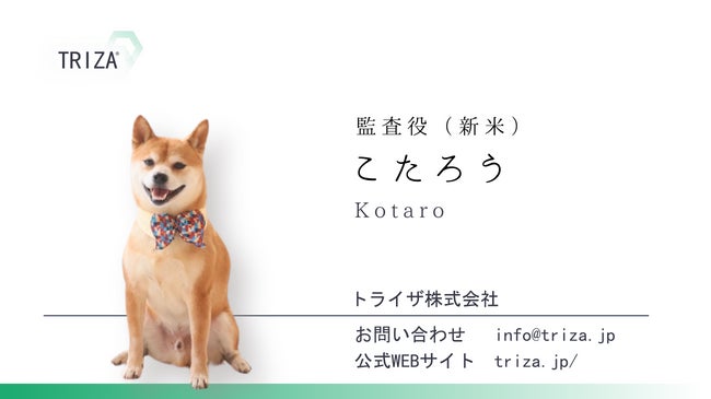 ☆柴太郎さま専用☆ (柴犬が監査役に就任!トライザ株式会社が ☆柴太郎さま専用☆ (柴犬が監査役に就任!トライザ株式会社が