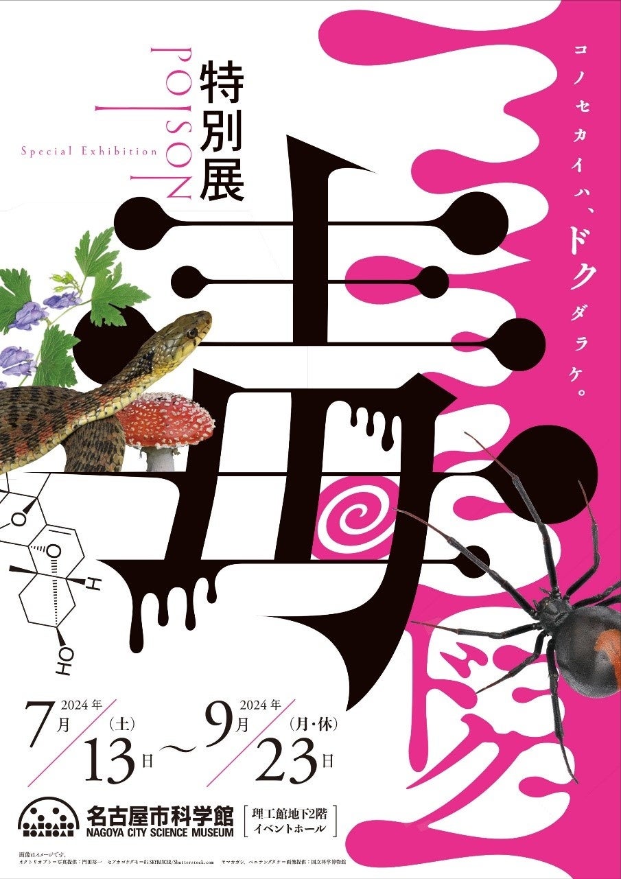 【中古】 アルコール中毒の恐怖 アメリカの現地レポート/協和企画（豊島区）/甲斐睦興 中古】 アルコール中毒の恐怖 アメリカの現地レポート/協和企画