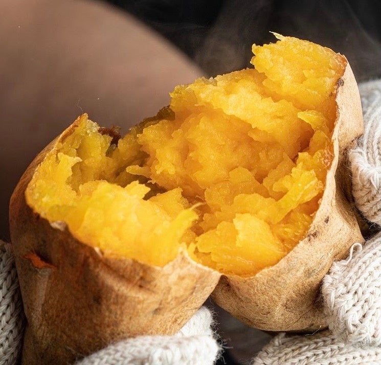 画像はイメージ