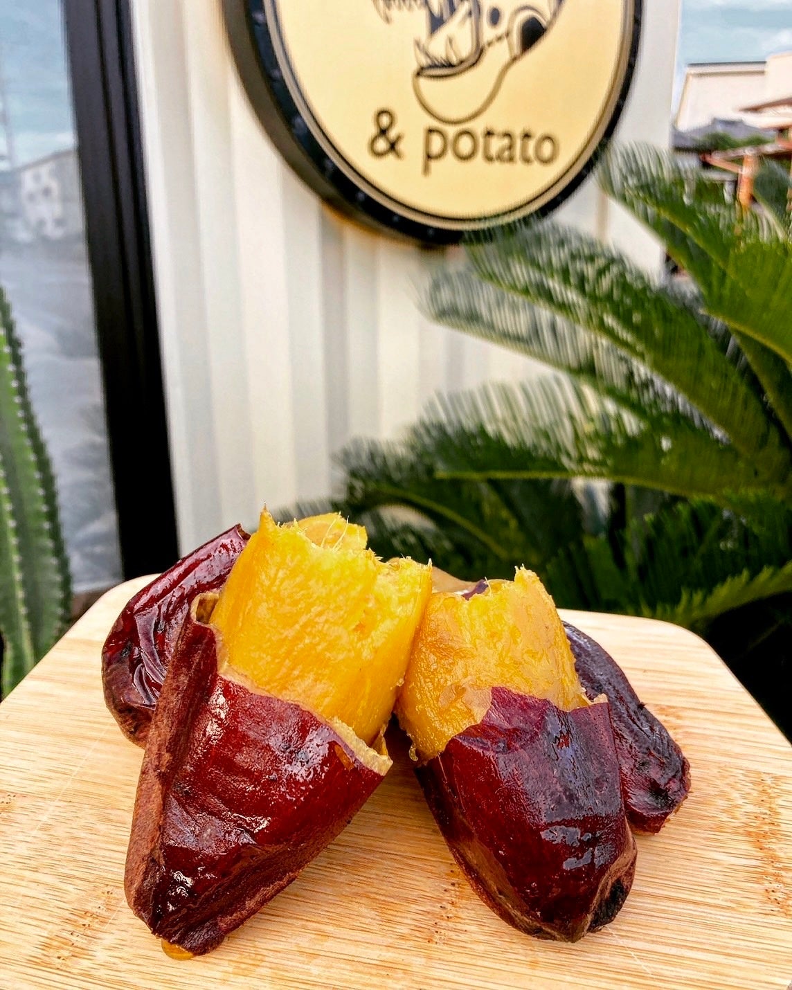 画像はイメージ