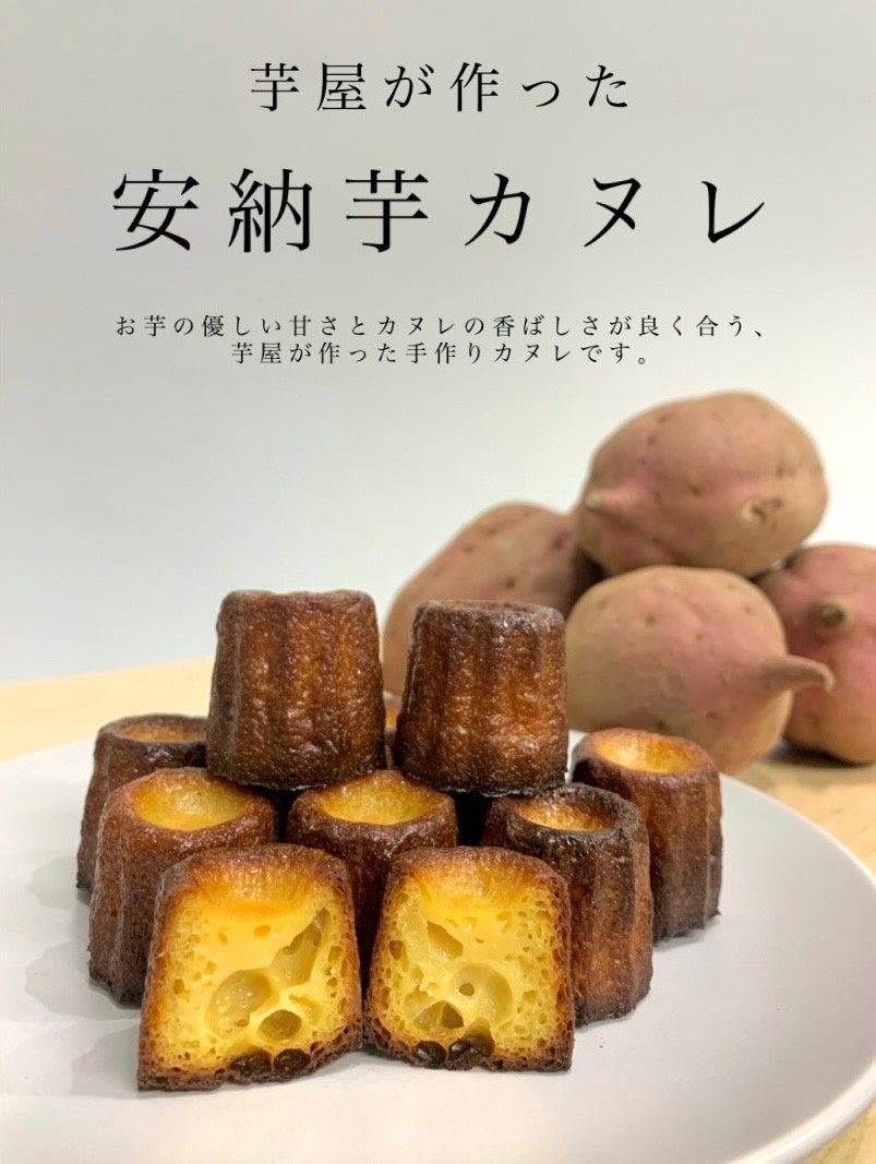 画像はイメージ