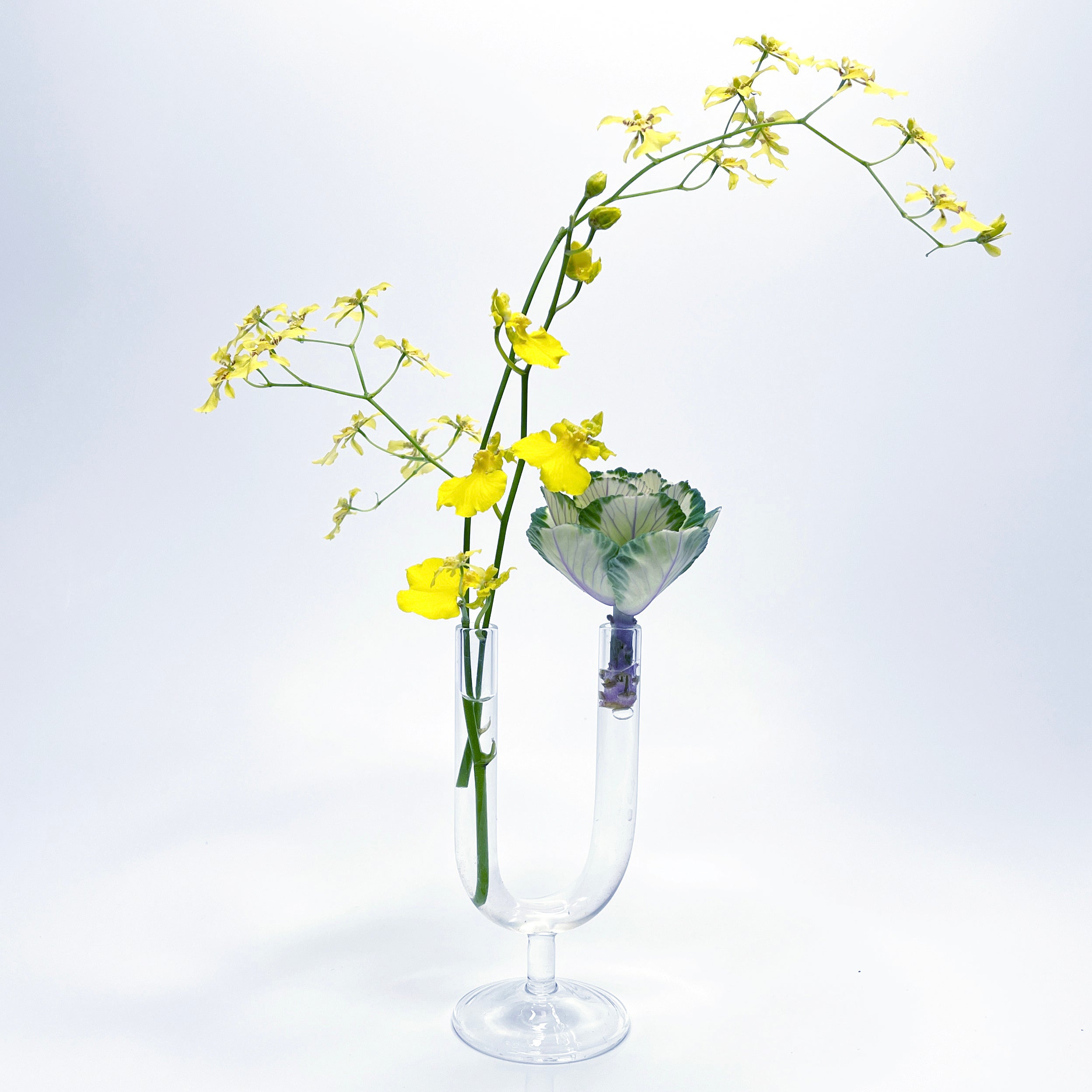 理化学ガラスの花瓶 MEDIFLA（メディフラ）〔株式会社KTION〕