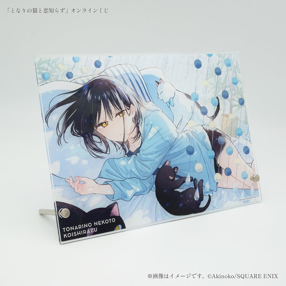 となりの猫と恋知らず』オンラインくじ予約受付開始！ | 株式