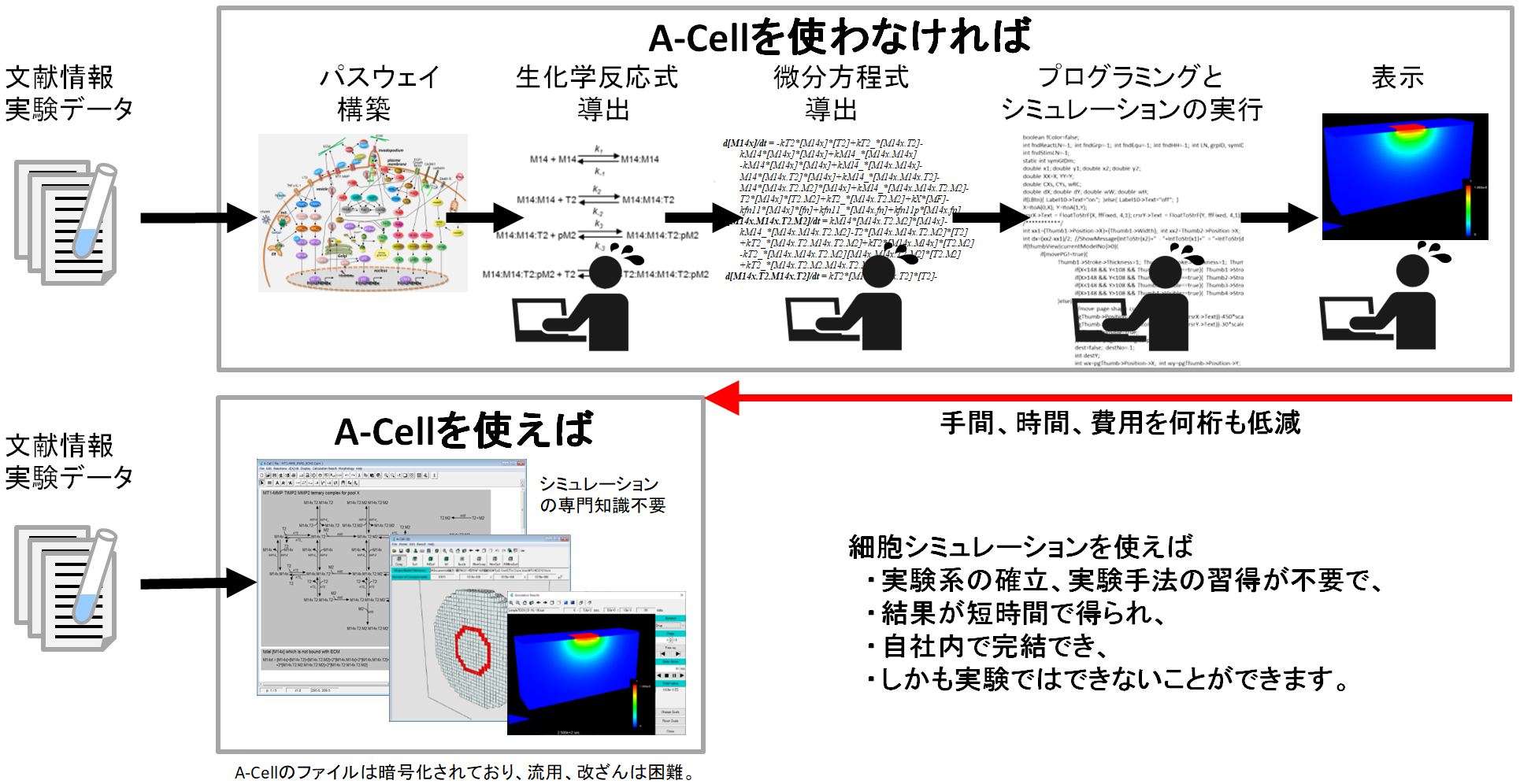 A-Cellの効果