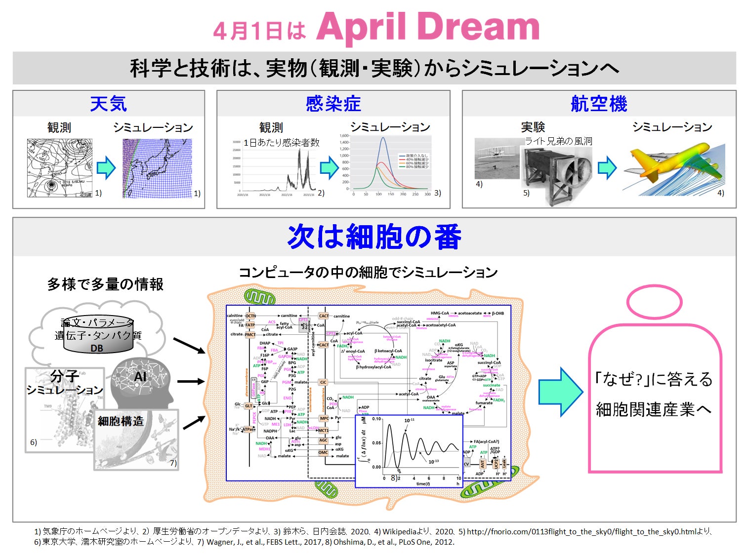 実細胞のデジタルツインをコンピュータの中につくります。 | 株式会社 True Cell Simulationsのプレスリリース