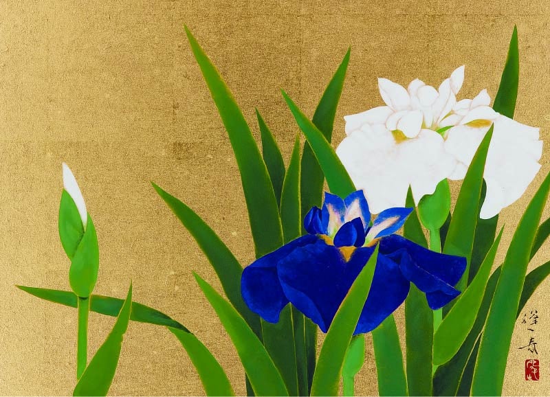 山口 蓬春「花菖蒲」