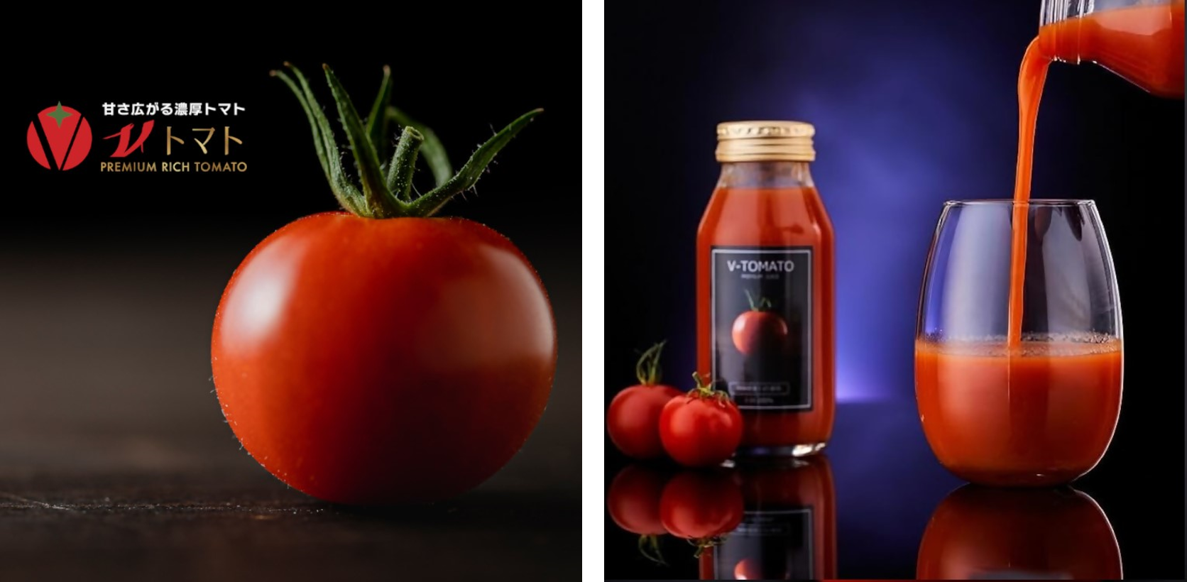 横須賀市ふるさと納税】半導体製造装置メーカーが作るトマト