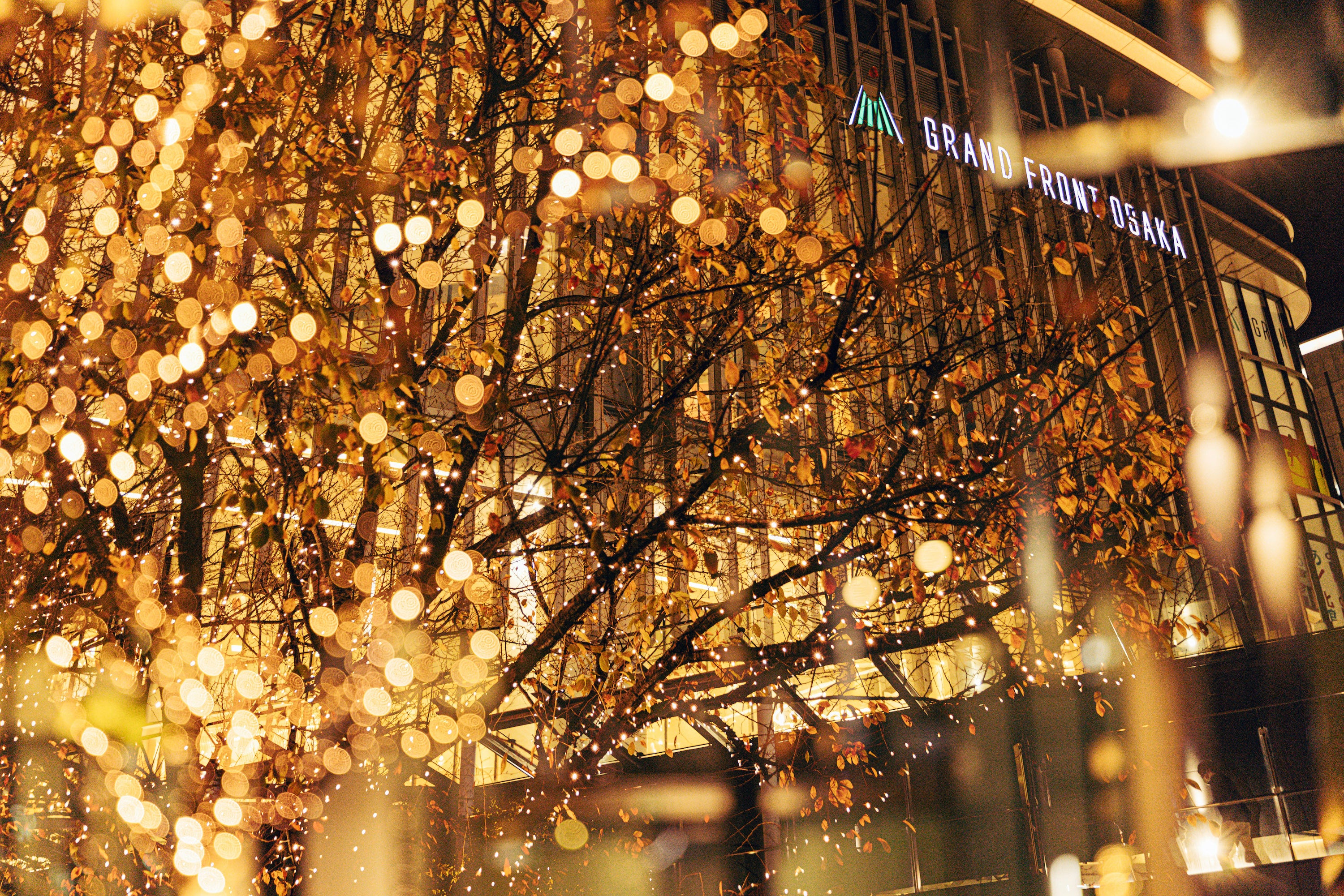 ※写真は過去実施時（2022年）の様子