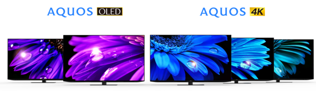 ​左から：4K有機ELテレビ＜4T-C65EQ1、4T-C65ES1＞、4K液晶テレビ＜4T-C65EU1、4T-C65EN1、4T-C65EL1＞