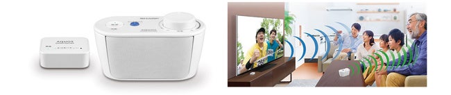 ワイヤレススピーカーシステム　AQUOSサウンドパートナー＜AN-WSP1＞