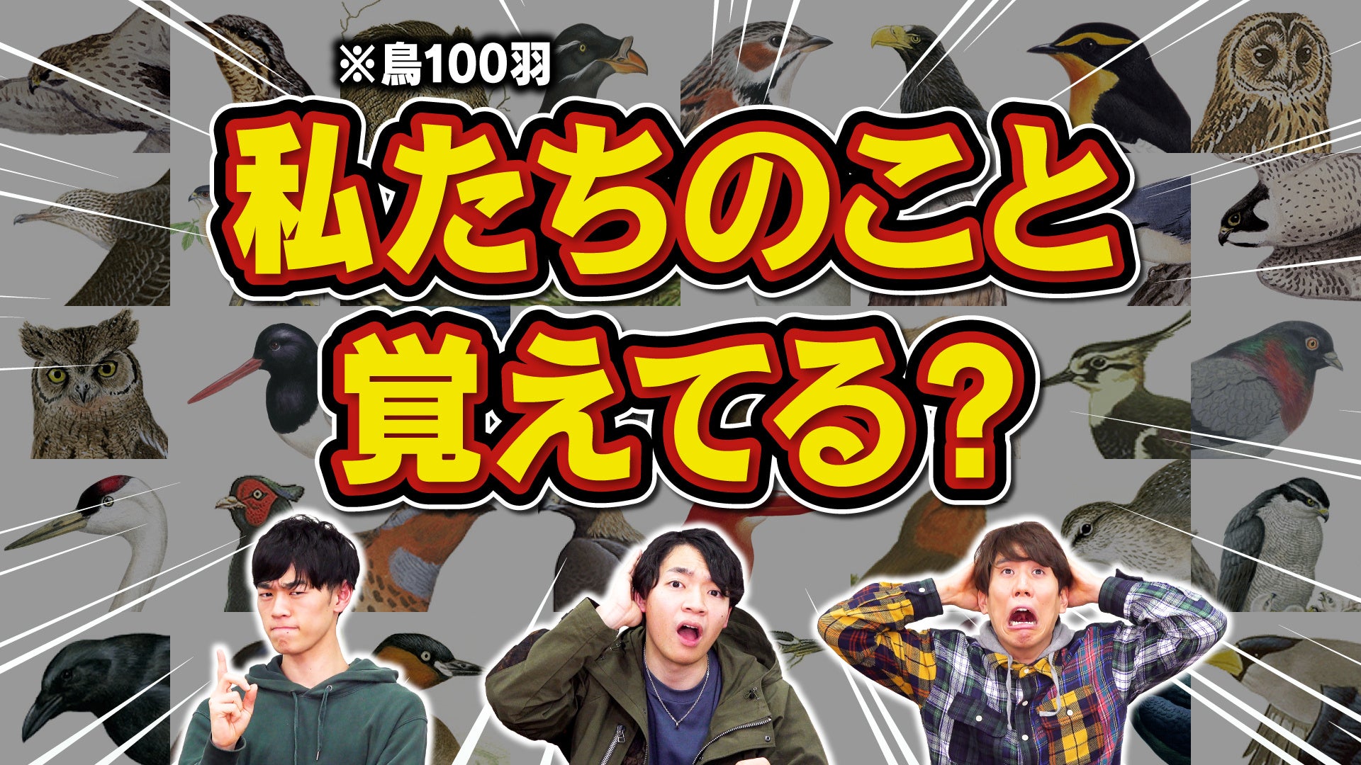 QuizKnockが挑戦!友達が鳥に変えられても100羽覚える説に挑む!サントリーとのコラボ動画公開! QuizKnockが挑戦!友達が鳥に変えられても100羽覚える説に挑む!サントリーとのコラボ動画公開!