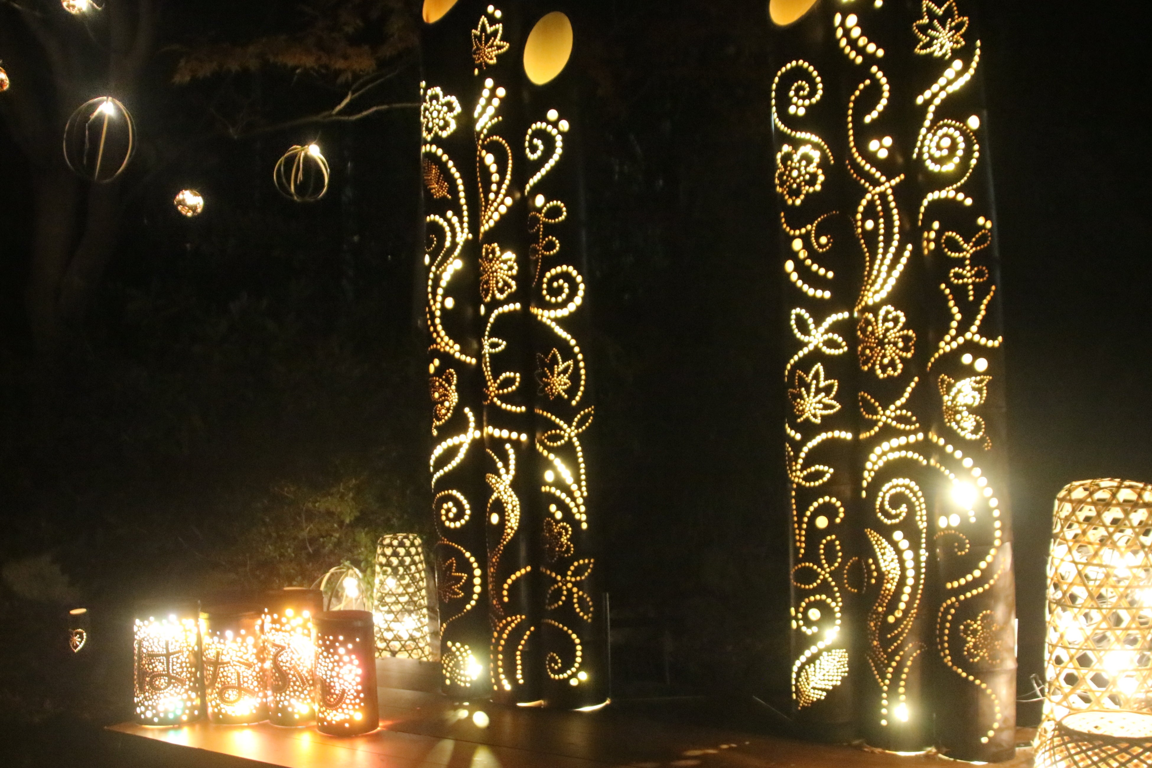 竹あかりと紅葉のライトアップ | 大阪府立花の文化園のプレスリリース