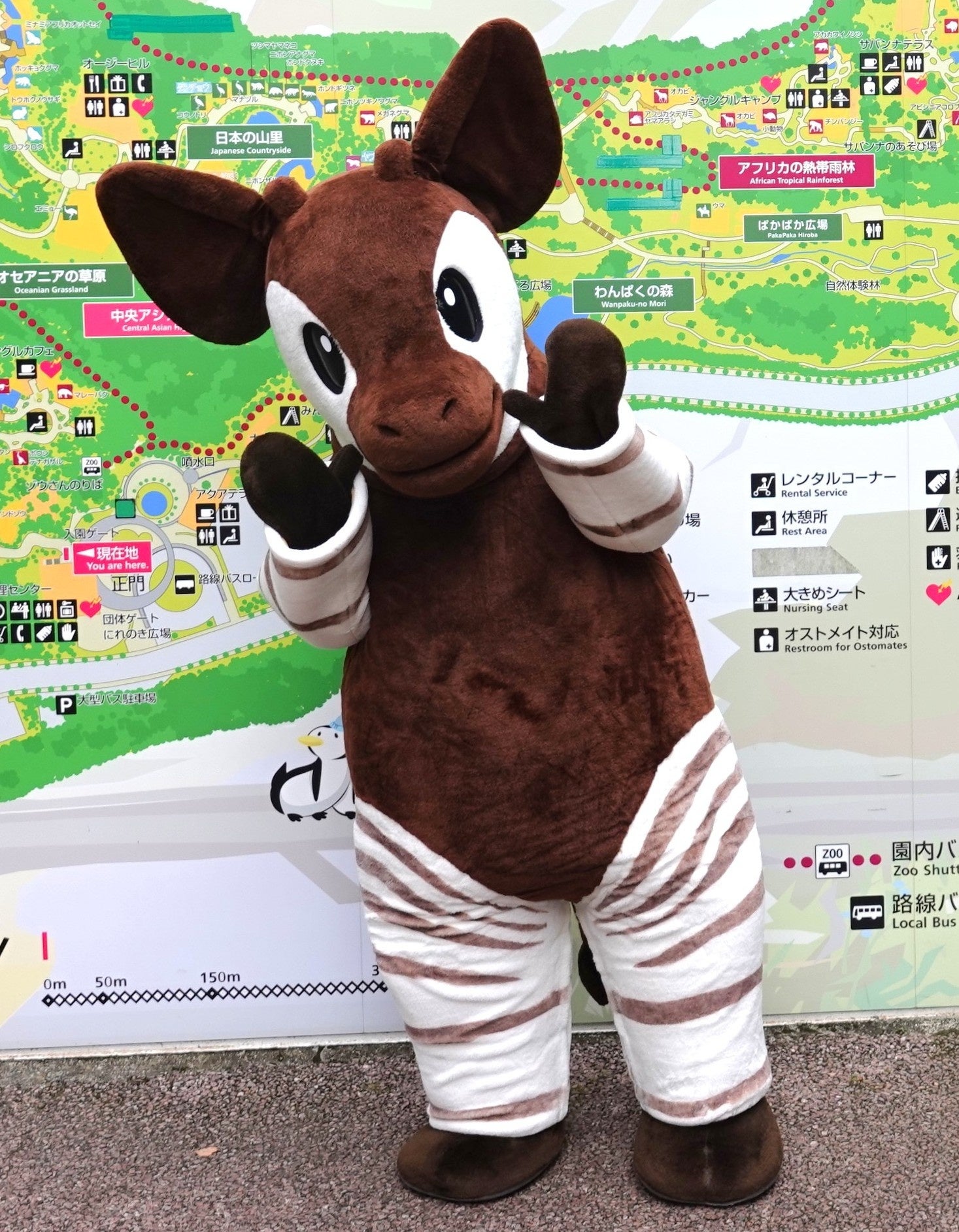 横浜市の3動物園コラボ企画　飼育員さんと一緒に学ぼう！「出張どうぶつ教室」inキュービックプラザ新横浜