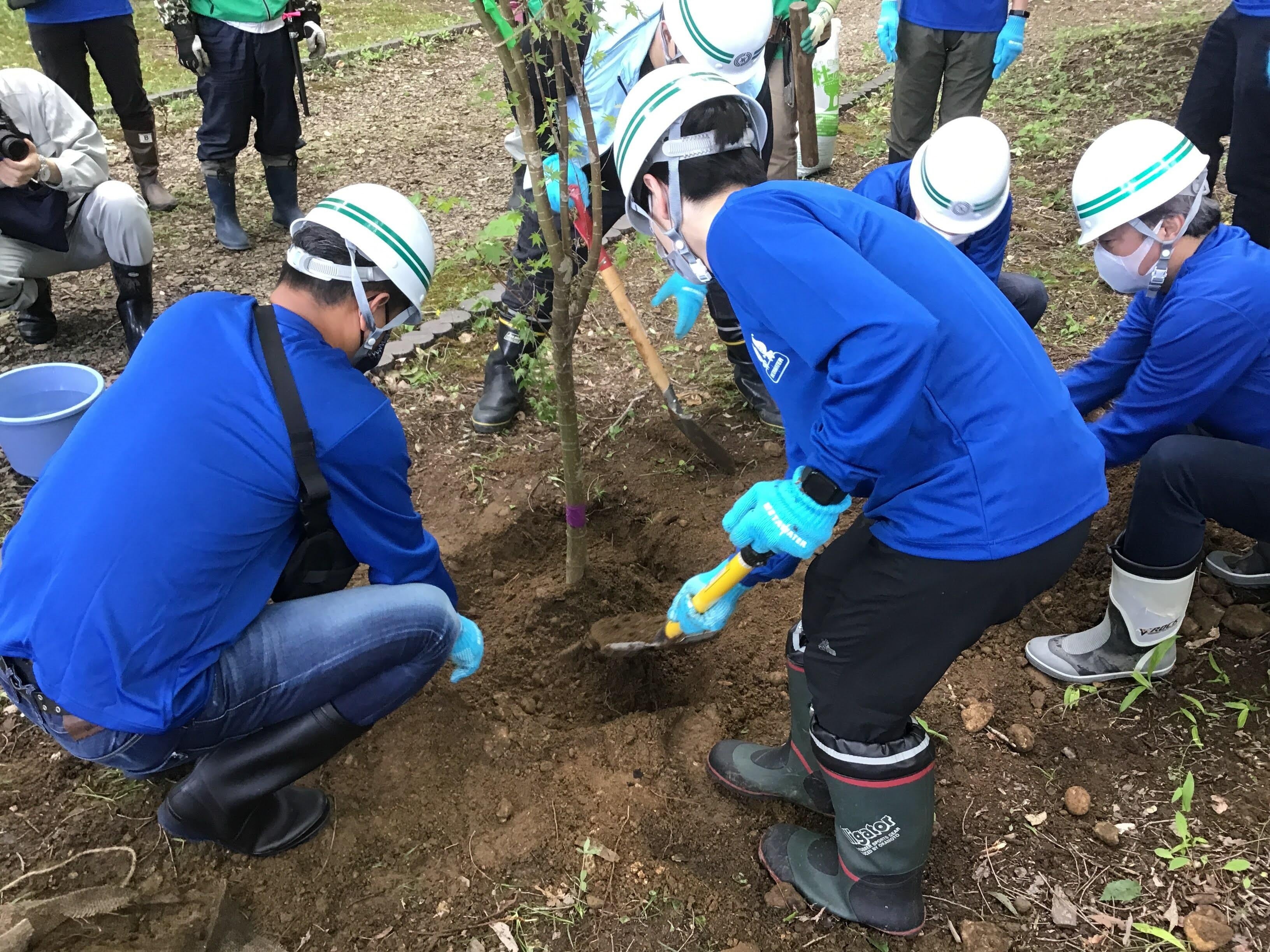 これまでの活動の様子