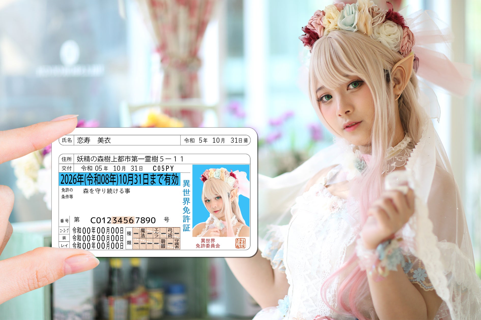 活動歴および当時の関連ビジュアル記録