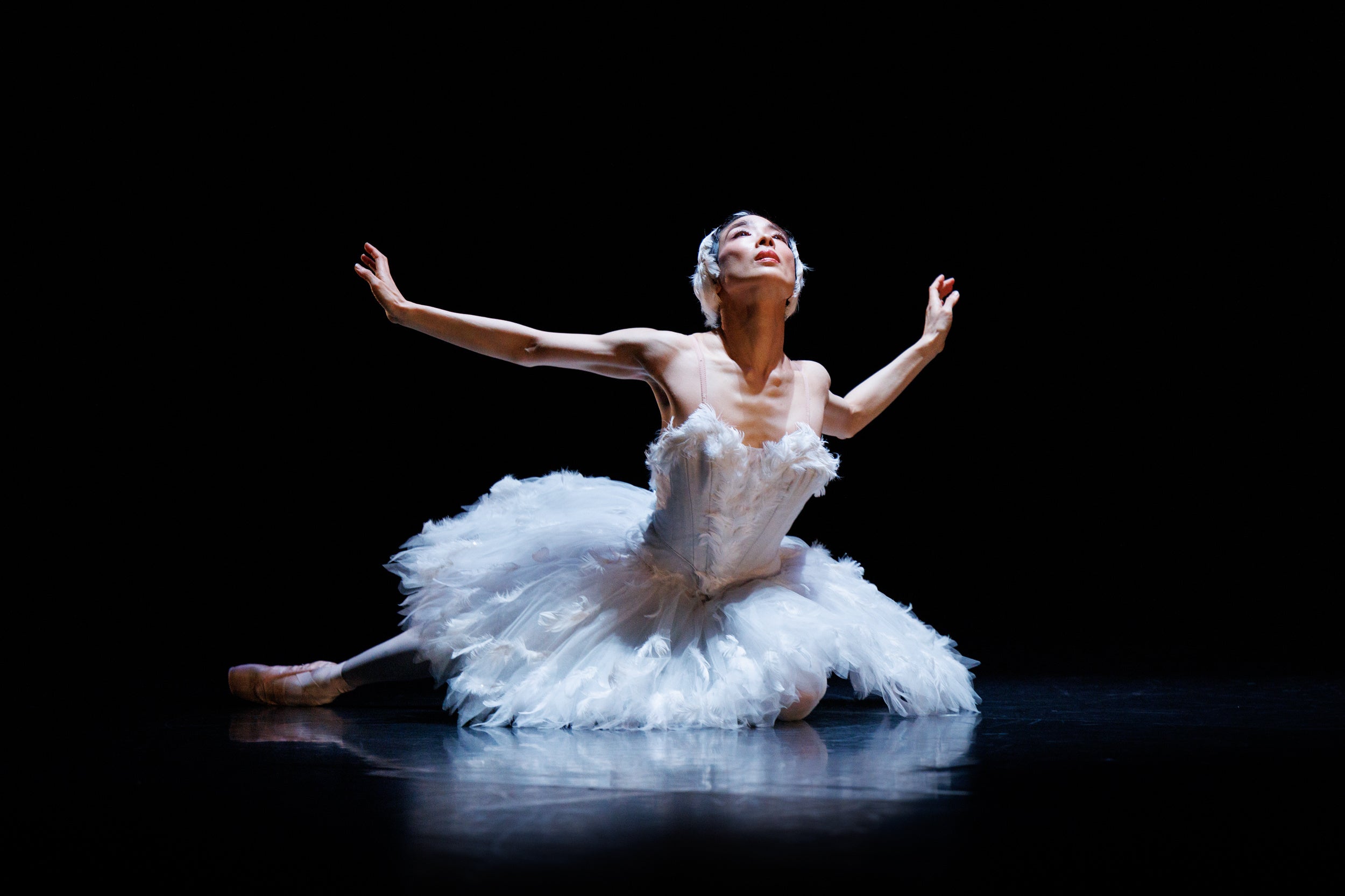 パフォーミングアーツ・セレクション 『瀕死の白鳥』提供：Dance Base Yokohama　© Naoshi HATORI