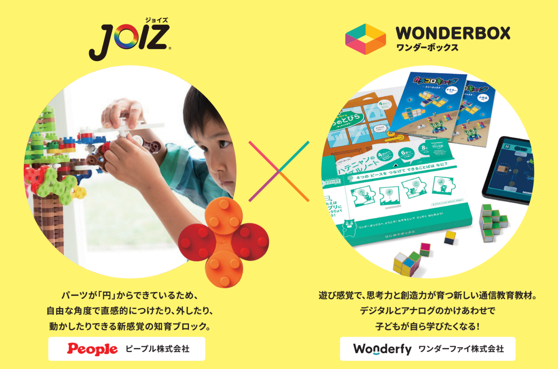 実物提示教育4枚セット 12970-113-