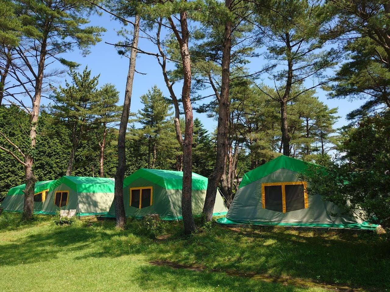 宿泊する定員１０名の大型常設テント