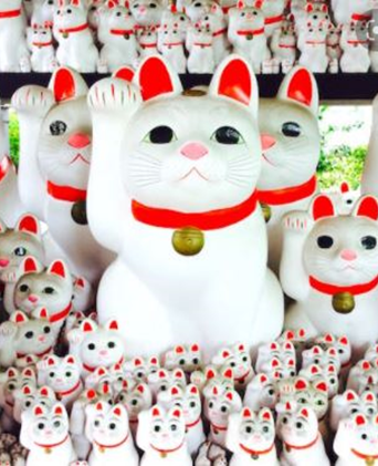 世田谷エリア（イメージ）