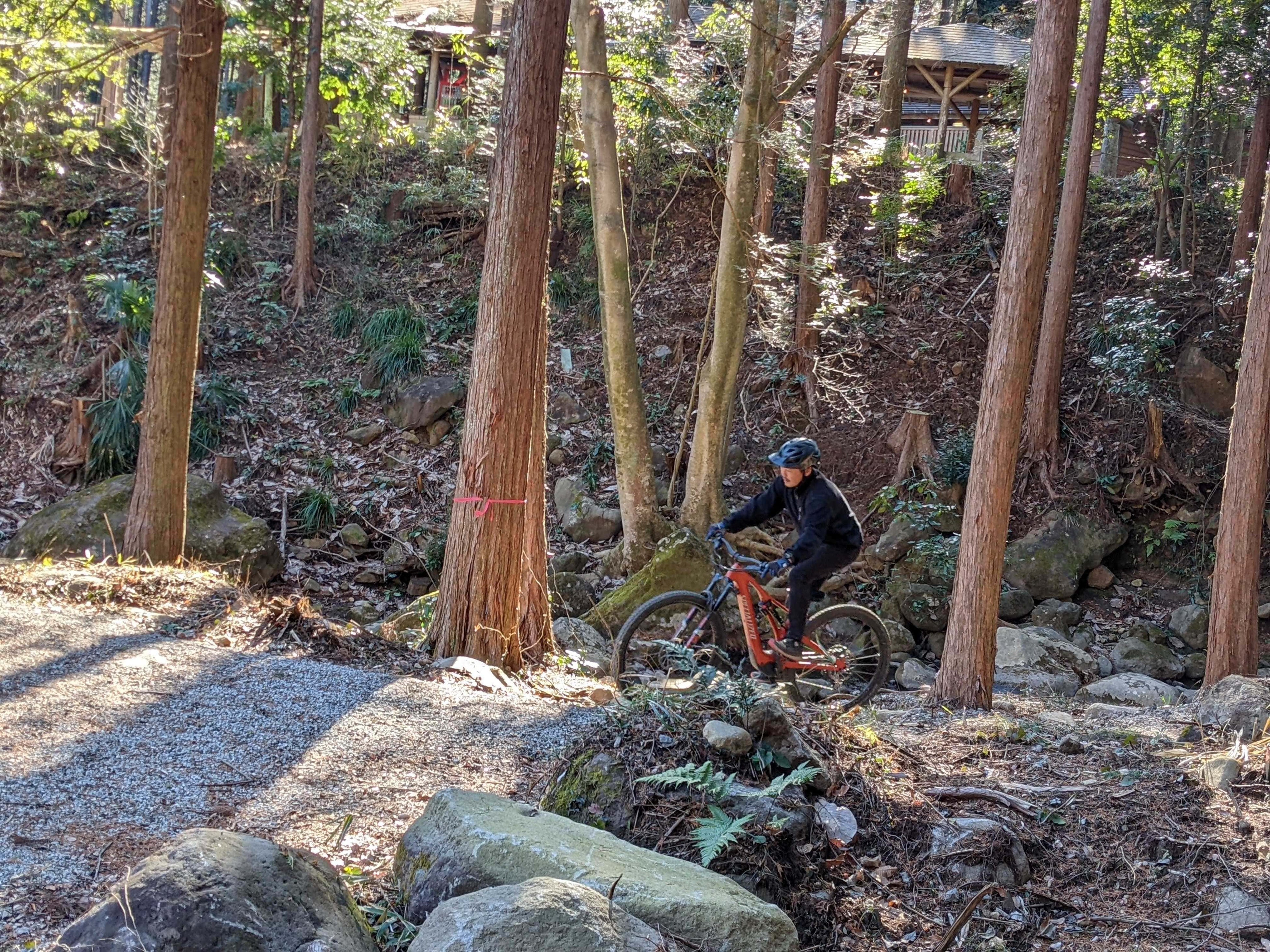 マウンテンバイクの様子