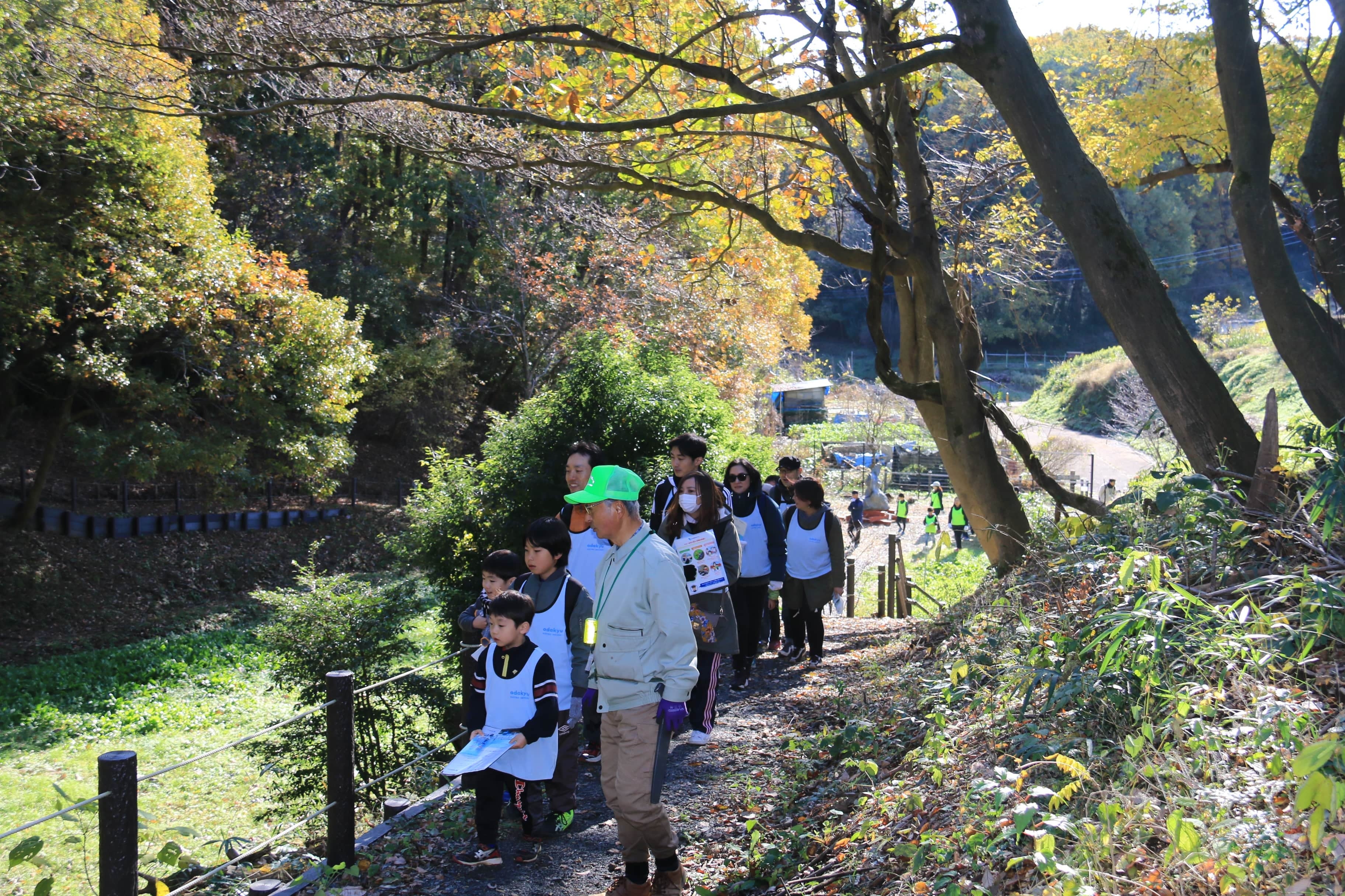 里山を散策する様子