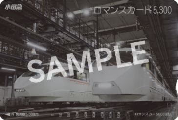 スペシャルロマンスカード