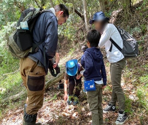 森林探検ツアー（イメージ）