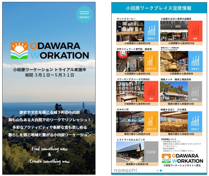 専用ウェブサイトのイメージ