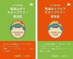 認定証（イメージ）