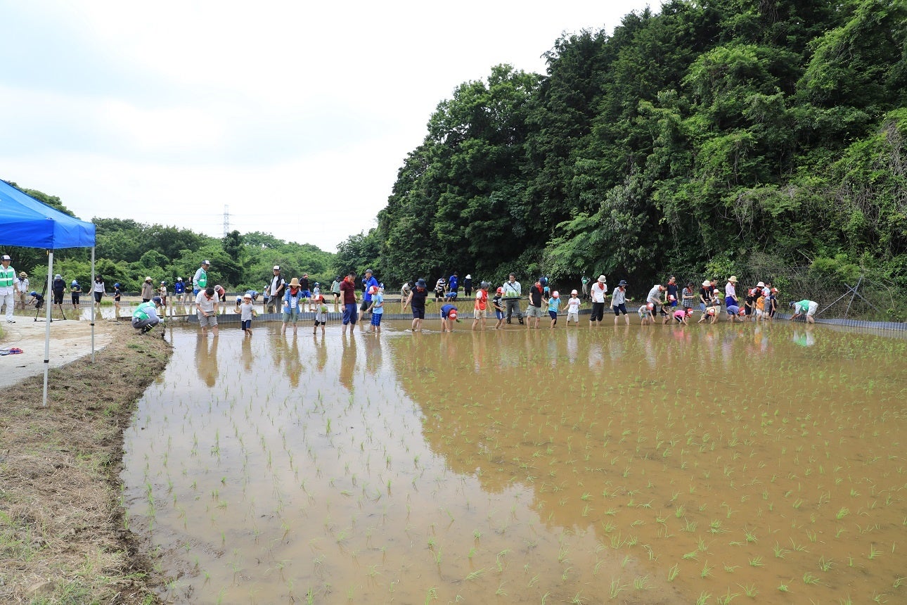 過去のイベントの様子　