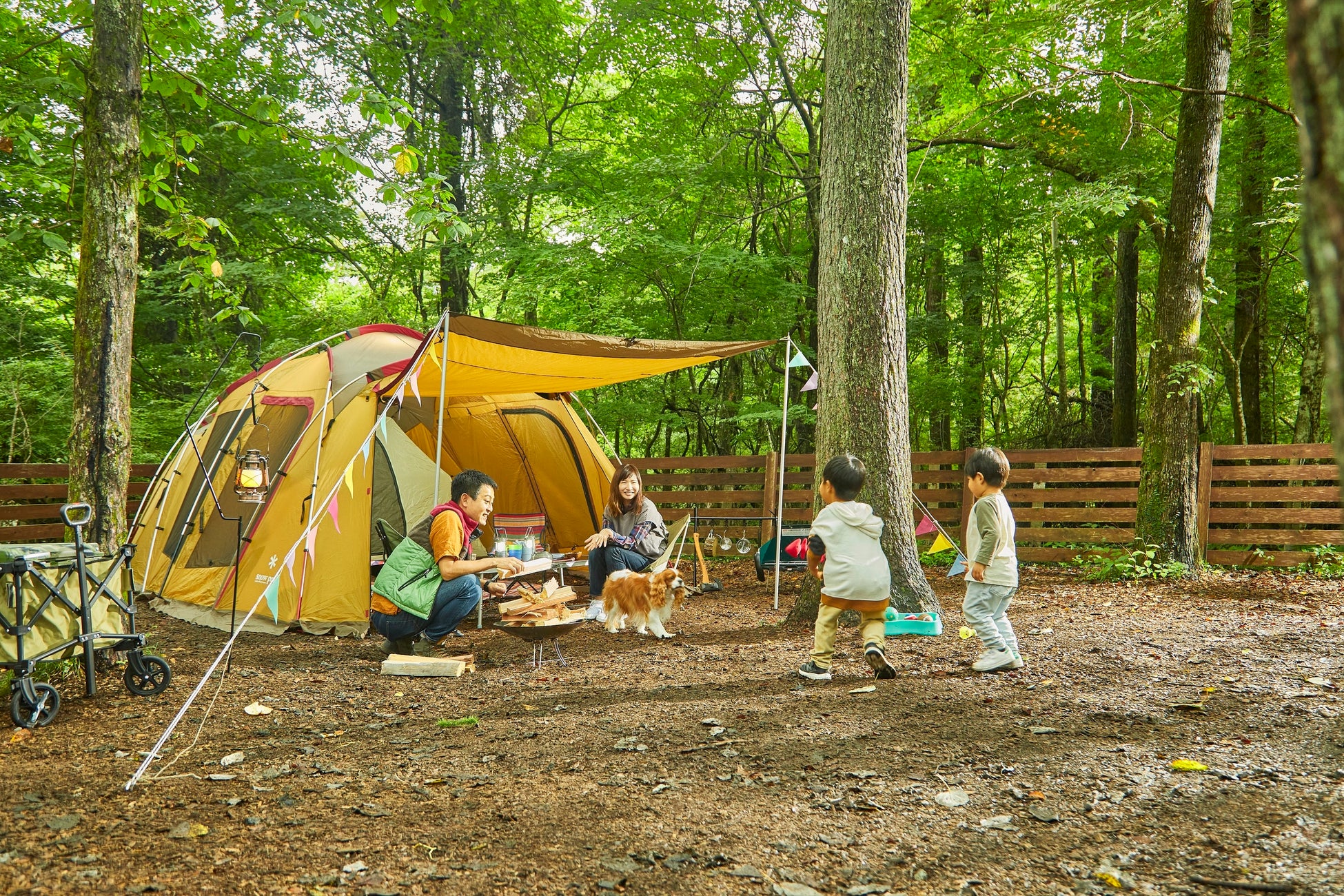 大型のワンちゃんも自由に走り回れる「ドッグランキャンプサイト」