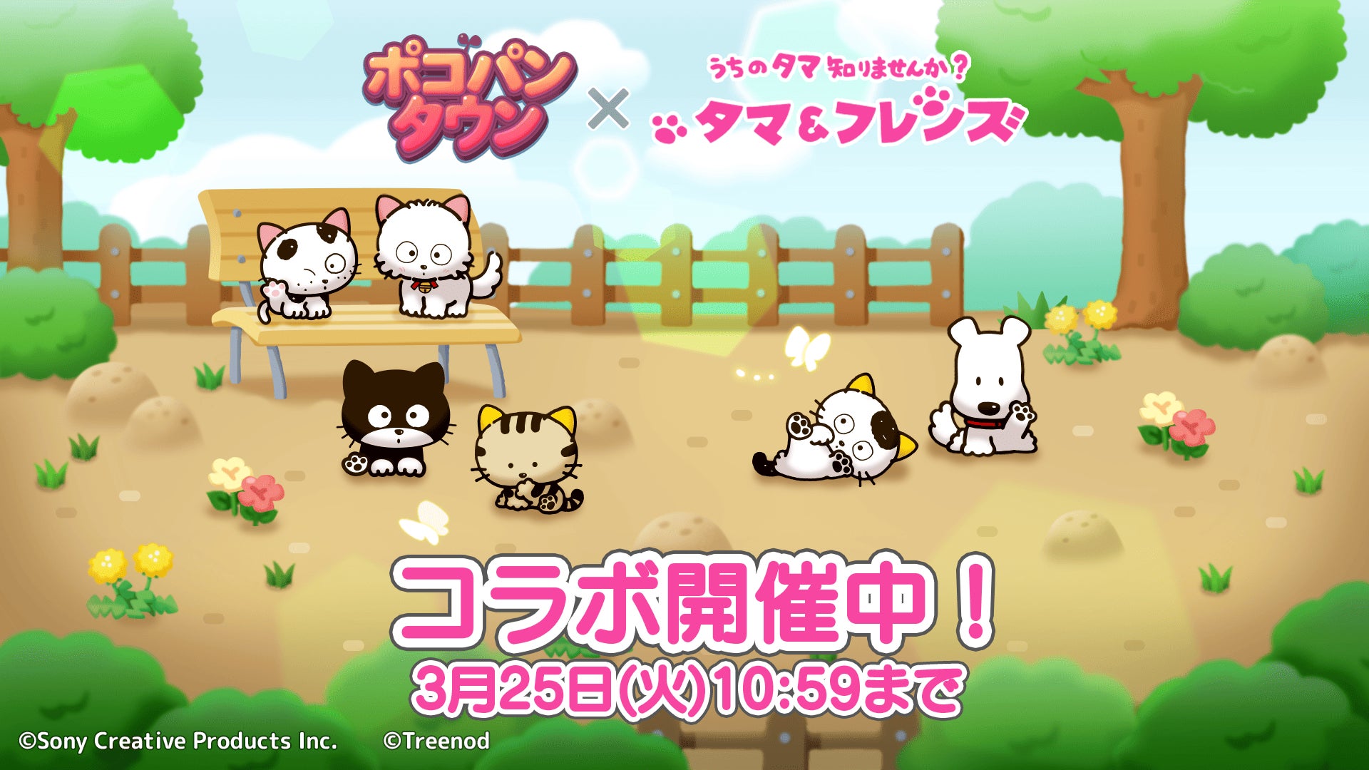 ポコパンタウン×うちのタマ知りませんか? コラボ開催!タマ&フレンズと街づくりを楽しもう! ポコパンタウン×うちのタマ知りませんか? コラボ開催!タマ&フレンズと街づくりを楽しもう!